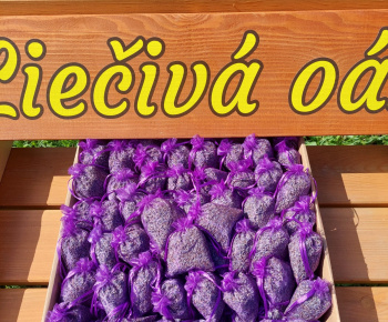 Aktuality / KOMUNITNÁ OÁZA HARMÓNIE - foto