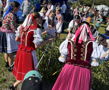 OZ Topľanská Lúčka